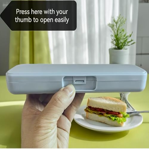5 Pcs Travel Utensils Set, 304 Stainless Steel Lunch Box (Silver)