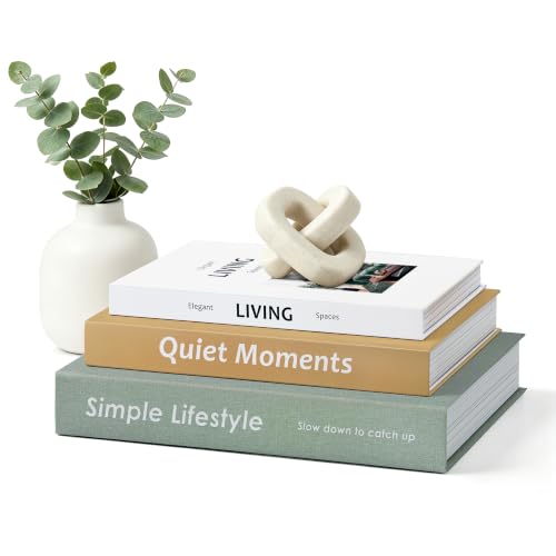 Decorative Books for Home Decor, Aesthetic Fake Book Storage Boxes
