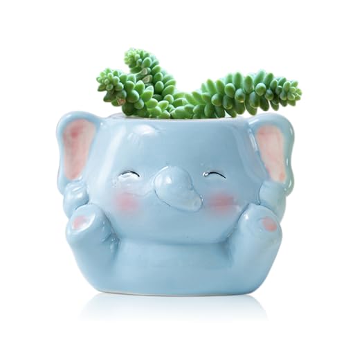 DIYOMR Cute Animals Planter, Mini Ceramic Cartoon Animal Shaped Succulent Flower Pot Indoor Air Plants Holder, Smooth Shiny Decorative Flower Cactus Planter - Plants Not Included (Baby Elephant) - color: Baby Elephant