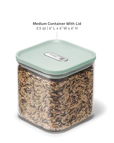Caraway 2.5 qt Glass Airtight Food Storage Container with Lid - color: Mist, size: 2.5qt Container