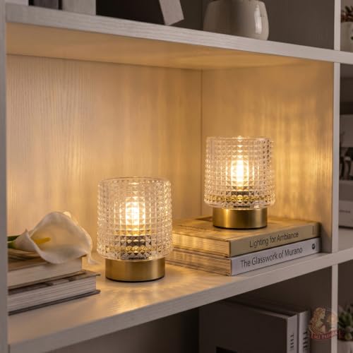MJ PREMIER Battery Operated Lamp,Small Cordless Lamp with Timer, Clear-01 - color: Clear-01