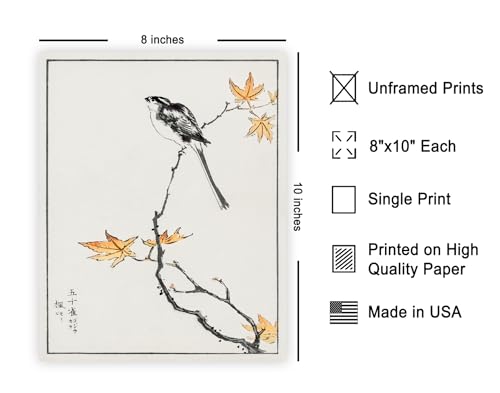 Poster Master Vintage Long-Tailed Tit and Maple Tree Poster - Retro Bird Print - Japanese Art - Gift for Men, Women & Animal Lover - Decor for Bedroom, Living Room or Office - 8x10 UNFRAMED Wall Art - color: Style-04, size: 8"L x 10"W