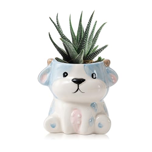 DIYOMR Cute Animals Planter, Mini Ceramic Cartoon Animal Shaped Succulent Flower Pot Indoor Air Plants Holder, Smooth Shiny Decorative Flower Cactus Planter - Plants Not Included (Cow) - color: Cow