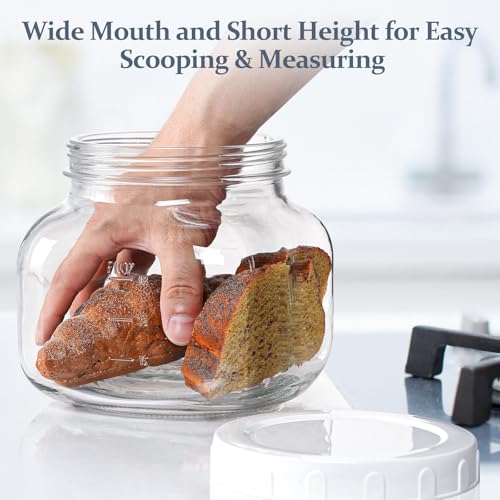 0.6Gal Airtight Glass Jar with Lid, Wide Mouth Mason Jar for Storage, 2 Pcs - size: 0.6 Gallon