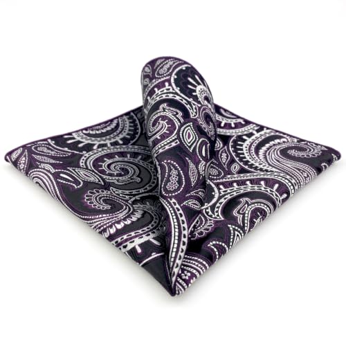 S&W SHLAX&WING Mens Pocket Square Paisley Multicolor Large for Business Wedding - color: Ah72