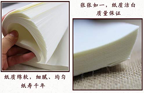 MEGREZ Chinese Japanese Calligraphy Xuan Paper Rice Paper - size: 13.4 x 26.7 inches
