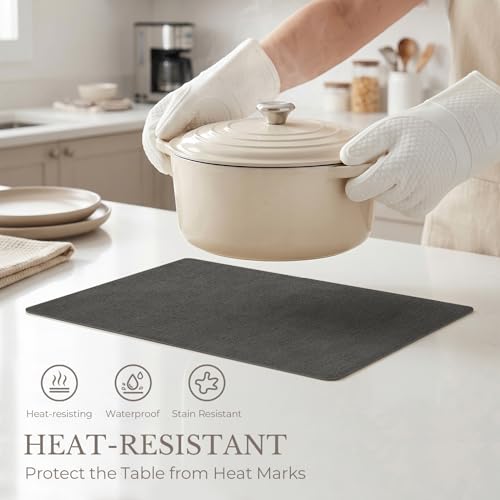 Romanstile Faux Leather Vinyl Placemats Set of 6, Charcoal - color: Charcoal