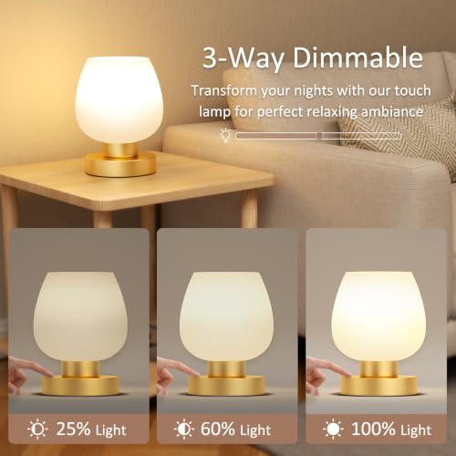 Seealle Small Touch Table Lamp for Nightstand, 3 Way Dimmable Bedside Lamp - color: Gold