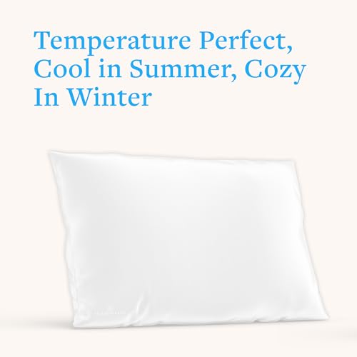 Mulberry Silk Pillowcase for Hair and Skin, 22 Momme 100% Silk - color: White