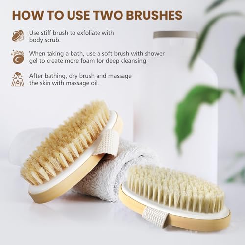 POPCHOSE Dry Brushing Body Brush, Natural Bristle Exfoliating Brush - size: 2 Count (PP+Boar Bristles)