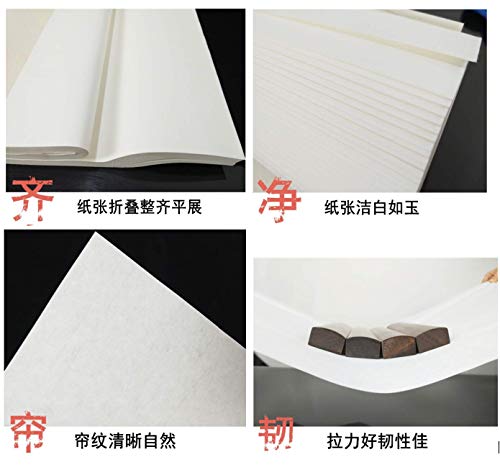 MEGREZ Raw Xuan Rice Paper Chinese Japanese Sumi Calligraphy Painting Sheet - size: 34 x 68 cm (13.4 x 26.7 inch)