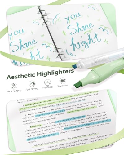 Four Candies Green School Supplies with Case College Essentials - color: Green