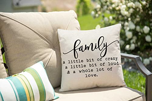 Solekla Family a Little Bit of Crazy Decorative Throw Pillow Covers, Farmhouse Quote Home Rustic Decorations, Christmas Inspirational Winter Cotton Linen Cushion Case Decors for Sofa Couch 18 × 18 - color: Sl214