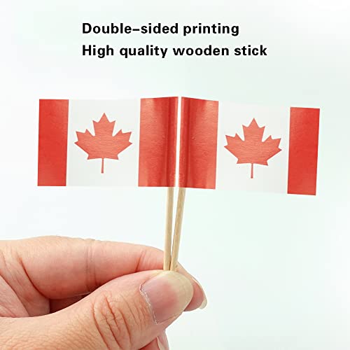 mflagperft Canada Toothpick Flags 100 Pack, Canadian Flag Cocktail Picks - color: Canada
