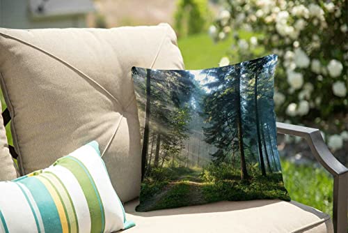 Solekla Misty Forest Pillow Covers 18x18 Farmhouse Decorative Sunshine Trees Throw Pillow Covers for Patio Furniture and Couch - color: Sl215