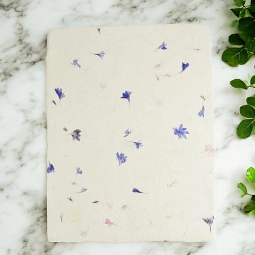 Handmade Lokta Deckle-Edge Printer Paper 8.5x11 (25 Sheets, Cornflower) - color: Cornflower