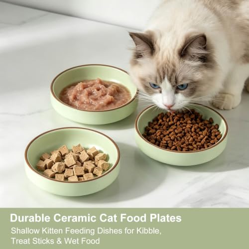 5 inch Ceramic Cat Dishes Cat Food Bowl Water Bowl Set, 3 Ceramic Cat Bowls Small Pet Bowls Cat Food Dish for Kitten and Medium Cat, Green - color: white