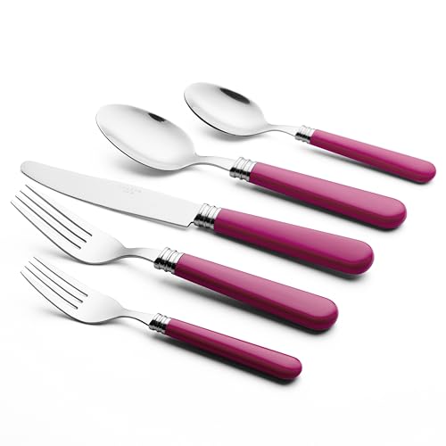 ANNOVA Silverware Set 20 Pieces Cutlery Stainless Steel Colorful Fun Handle Flatware Service for 4 - Dinner Knife, Dinner Fork, Salad fork, Dinner Spoon, Dessert Spoon (Hot Pink, 20 Pieces) - color: Hot Pink