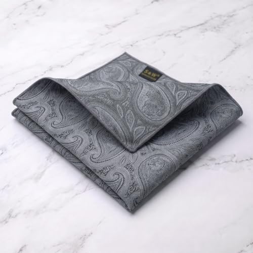 S&W SHLAX&WING Mens Pocket Square Paisley Multicolor Large for Business Wedding - color: Hh30