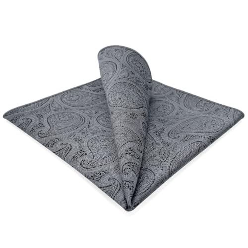S&W SHLAX&WING Mens Pocket Square Paisley Multicolor Large for Business Wedding - color: Hh30
