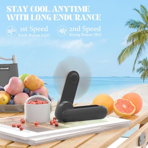 Lerat Portable Handheld Fan, 2 IN 1 Mini Hand Fan, Battery Operated [8-15 Working Hours], USB Rechargeable Personal Foldable Fan for Indoor, Small Pocket Fans Travel Essentials for Outdoor (Black) - color: Black
