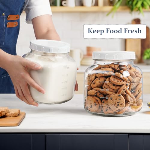 0.8Gal Glass Jar with Lid, Wide Mouth Mason Jar for Airtight Storage, 2 Pcs - size: 0.8 Gallon
