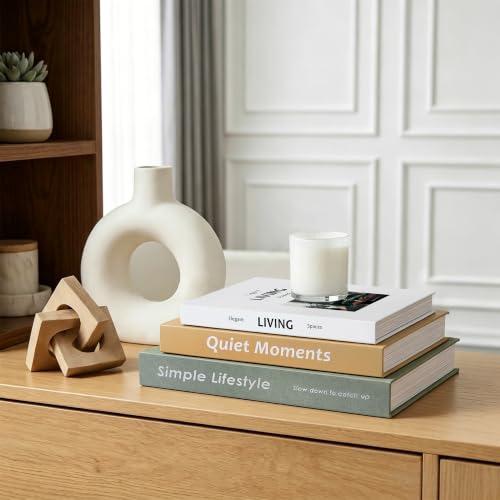 Decorative Books for Home Decor, Aesthetic Fake Book Storage Boxes
