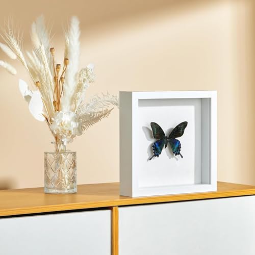 8x8 Shadow Box Picture Frame with Real Glass Panel and Linen Back - color: White + Thickened Panel + Foam Packaging, size: 8x8