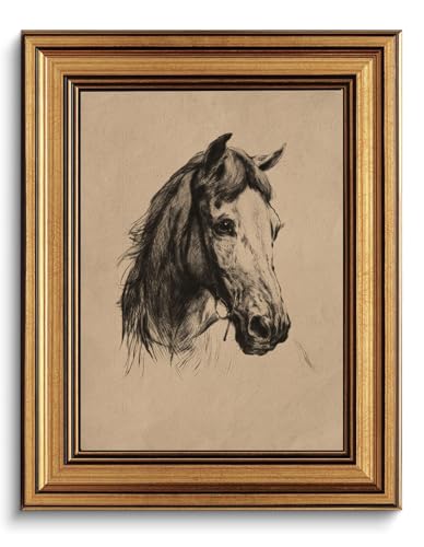 Gold Framed Wall Art Vintage Horse Head Sketch Canvas Prints Decor - color: Horse head, size: 8"x10"
