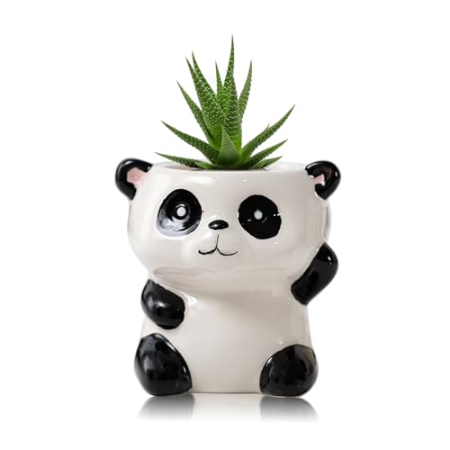 DIYOMR Cute Animals Planter, Mini Ceramic Cartoon Animal Shaped Succulent Flower Pot Indoor Air Plants Holder, Smooth Shiny Decorative Flower Cactus Planter - Plants Not Included (Panda) - color: Panda