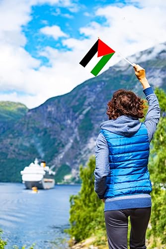 50 Pack Palestine Palestinian Mini Hand Held Flags on Stick, Miniature National Country Flags, Party Decorations for Parades, International Festival - color: Palestine