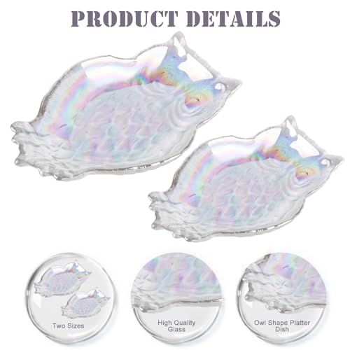 SHOWLOUE Crystal Glass Serving Plates, 8 x 6 Inches Owl Serving Plates Clear Glass Plate for Pasta, Salad, Dessert Taco, Sushi, Home Wedding Décor, Iridescence, Small - color: Iridescence, size: Small