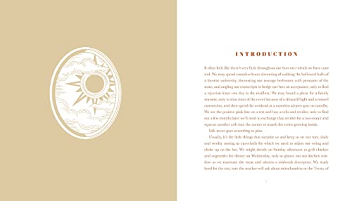 First Light and Eventide: A Daily Gratitude Journal