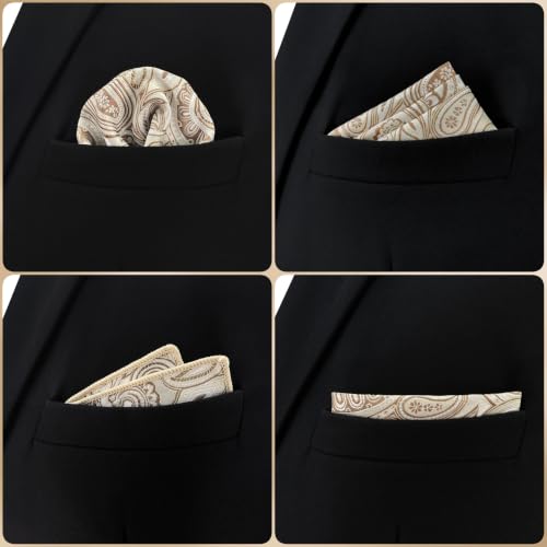 S&W SHLAX&WING Mens Pocket Square Paisley Multicolor Large for Business Wedding - color: Ah6