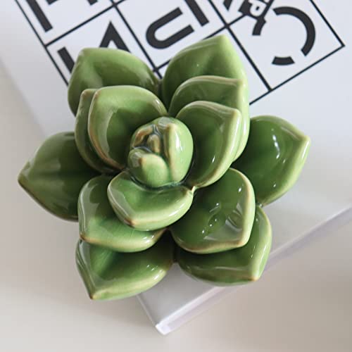 Ceramic Succulent Flower Table Centerpiece (Green 2) - color: Green 2
