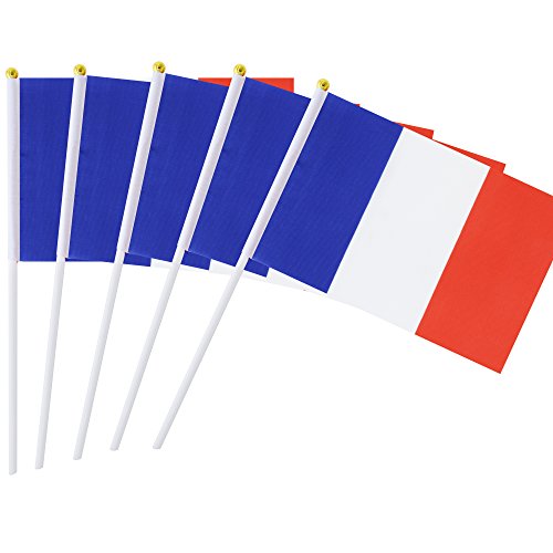 Kind Girl 25 Pack Hand Held Small Mini Flag France Flag French Stick Flag Round Top National Country Flags,Party Decorations Supplies for Parades,World Cup,Festival Events,International Festival - color: France