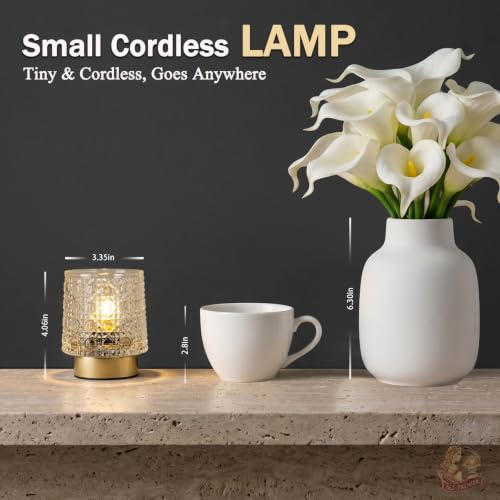 MJ PREMIER Battery Operated Lamp,Small Cordless Lamp with Timer, Clear-05 - color: Clear-05