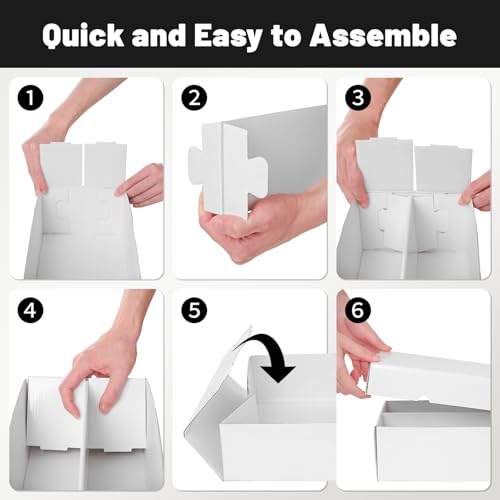 NUMINA 6 Pack 2 Row Trading Card Storage Boxes Card Organizer - size: 6 Pack