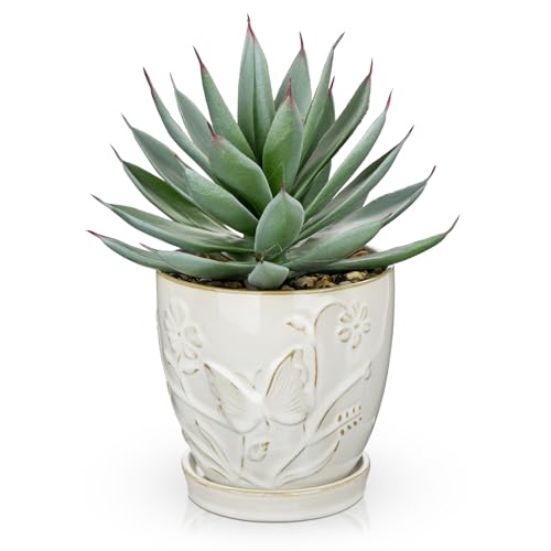 Briful Artificial Succulent Plant in White Ceramic Planter with Saucer, Small Fake Agave Plant, Faux Plant Indoor for Desk, Bathroom, Shelf, Office, Farmhouse Home Decor, 9 Inch - color: White#207