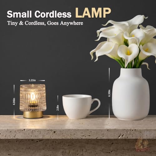 MJ PREMIER Battery Operated Lamp,Small Cordless Lamp with Timer, Clear-04 - color: Clear-04