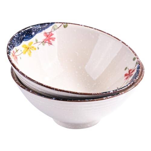 Japanese Ceramic Ramen Bowl Set Set of 2, 8.2 Inch Porcelain Noodle Bowls - color: QC