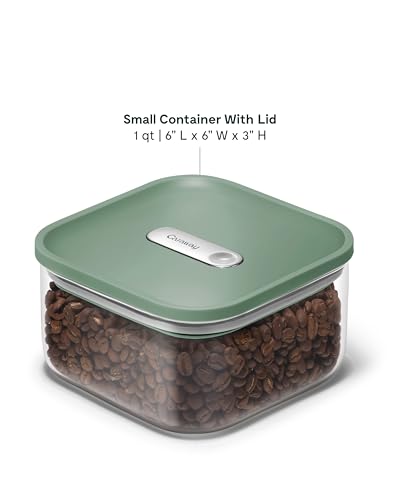 Caraway 1 qt Glass Airtight Food Storage Container with Lid - color: Sage, size: 1qt Container