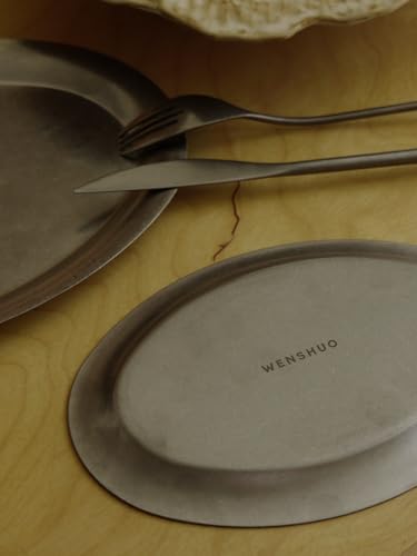 WENSHUO Vintage Oval Serving Plate, Distressed Stainless Steel Charcuterie Platter, Rustic BBQ Snack Dish, Outdoor Camping Tray (Large) - size: L: 10.6”L × 7.9”W