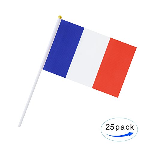 Kind Girl 25 Pack Hand Held Small Mini Flag France Flag French Stick Flag Round Top National Country Flags,Party Decorations Supplies for Parades,World Cup,Festival Events,International Festival - color: France