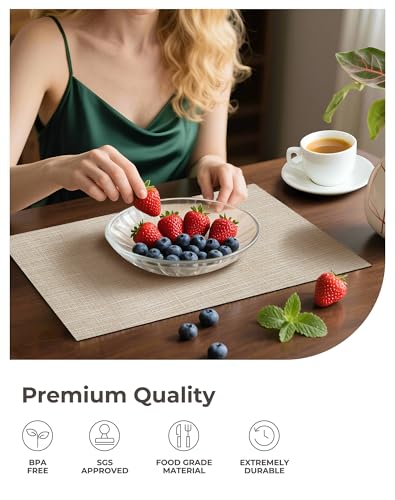 Leetaltree Woven Vinyl Beige Placemats Set of 6 - Linen Look & Easy to Clean - color: Beige, size: Set of 6