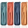 Zoyiancy 4 Sets Cutlery Set, Reusable Spoon Knife Fork Chopsticks Lunch Box - color: Standard, 4 Colors