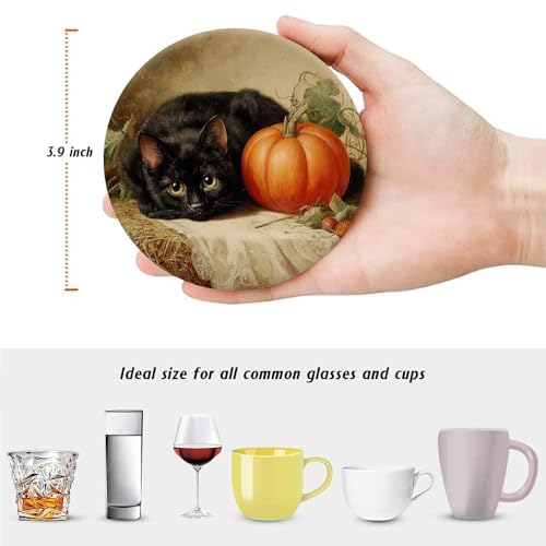 Drink Coasters for Drinks Set of 6, Fall Cute Black Cat and Pumpkin Absorbent Round Ceramic Stone Mat Coaster, with Cork Base and Metal Holder, Home Bar Decor House Warming Gift - color: Fall Cat
