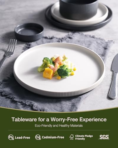 Famiware Star Stoneware Dinnerware Sets for 8, Reactive Glaze Plates, Bowls - color: Matte White & Charcoal