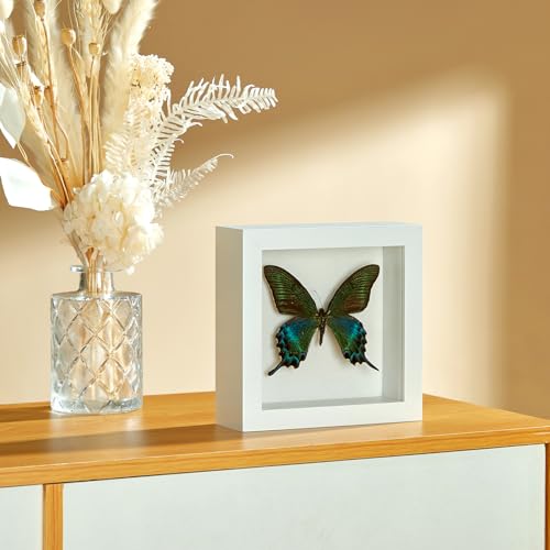 5x5 Small Shadow Box Picture Frame with Real Glass and Linen Back - color: White + Thickened Panel + Foam Packaging, size: 5x5