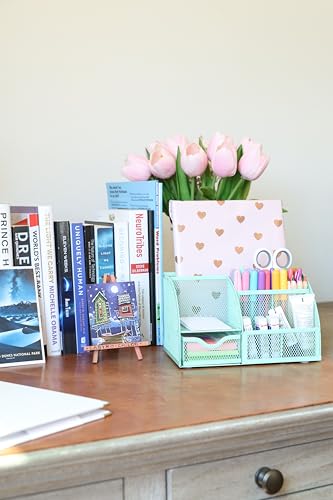 Annova Mesh Desk Organizer Office with 7 Compartments + Drawer/Desk Tidy Candy/Pen Holder/Multifunctional Organizer (Turquoise) - color: Turquoise